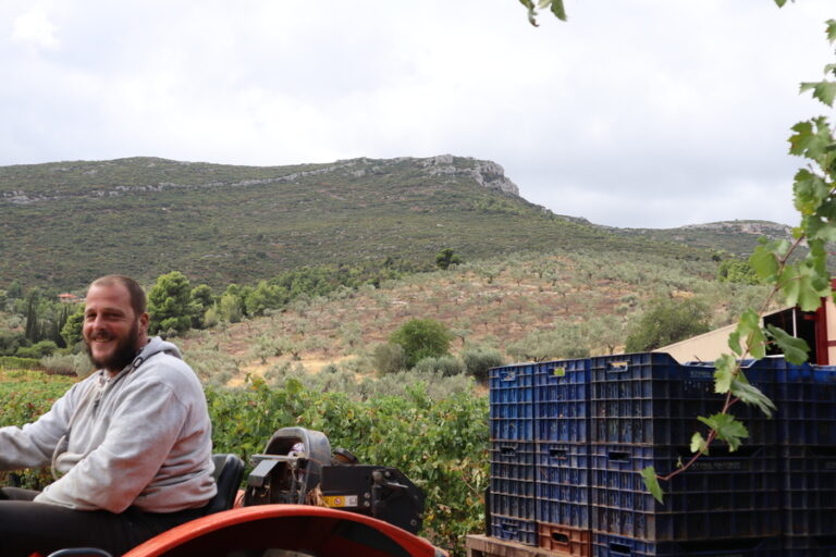 azienda agricola in Grecia nemea